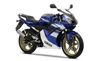 /fichas_tecnicas/yamaha/tzr/50/2010-4706.htm