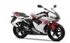 Foto 5 de la moto YAMAHA TZR
