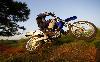 Foto 5 de la moto YAMAHA WR