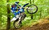 Foto 6 de la moto YAMAHA WR