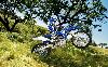 Foto 8 de la moto YAMAHA WR