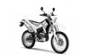 Foto 6 de la moto YAMAHA WR