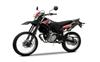 Foto 8 de la moto YAMAHA WR