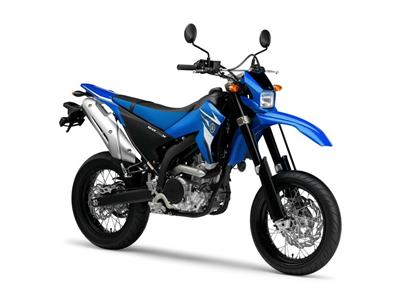 Foto principal de la moto YAMAHA WR 250 X en 