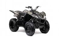 /fichas_tecnicas/yamaha/wolverine/450/2008-4741.htm
