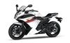 Foto 6 de la moto YAMAHA XJ6