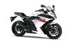 Foto 3 de la moto YAMAHA XJ6