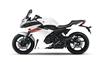Foto 5 de la moto YAMAHA XJ6