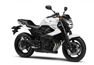 Foto principal de la moto YAMAHA XJ6