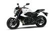 Foto 10 de la moto YAMAHA XJ6