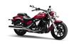 Foto 6 de la moto YAMAHA XVS