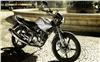 Foto 13 de la moto YAMAHA YBR