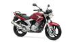 Foto 5 de la moto YAMAHA YBR