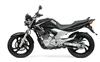 Foto 8 de la moto YAMAHA YBR