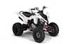 Foto 6 de la moto YAMAHA YFM