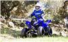 Foto 2 de la moto YAMAHA YFM