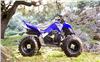 Foto 5 de la moto YAMAHA YFM