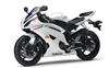 Foto 6 de la moto YAMAHA YZF