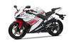 Foto 3 de la moto YAMAHA YZF