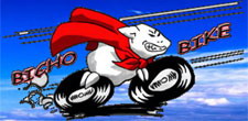 Bichobike